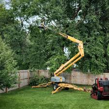 Best Hazardous Tree Removal  in Vaville, CA